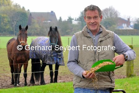 Werner Tebart ftter die Pferde mit Futter