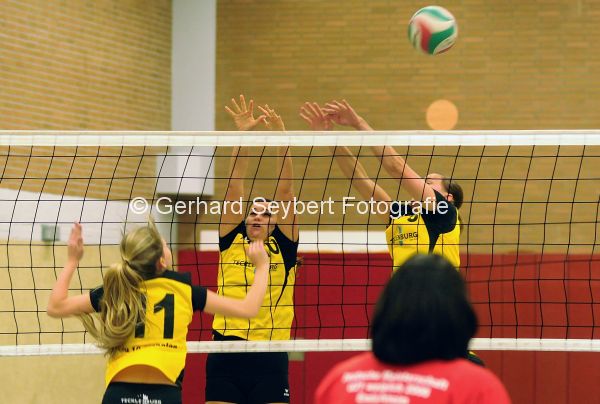 Unser Straelen: Volleyball-Landesligateam des SV Straelen